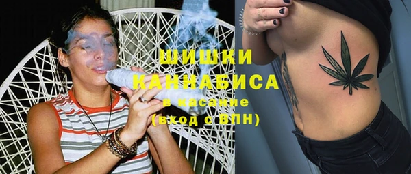 амф Семилуки