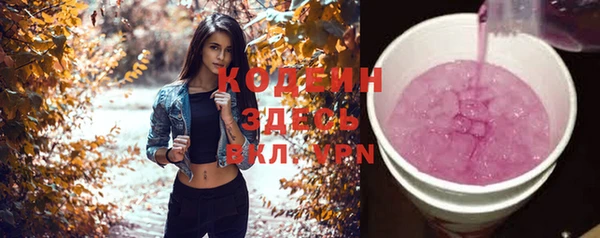 хмурый Белокуриха