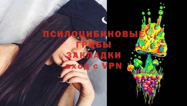 хмурый Белокуриха