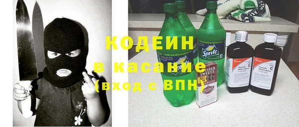 хмурый Белокуриха